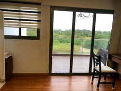 Springside Road (D26), Terrace #483295331